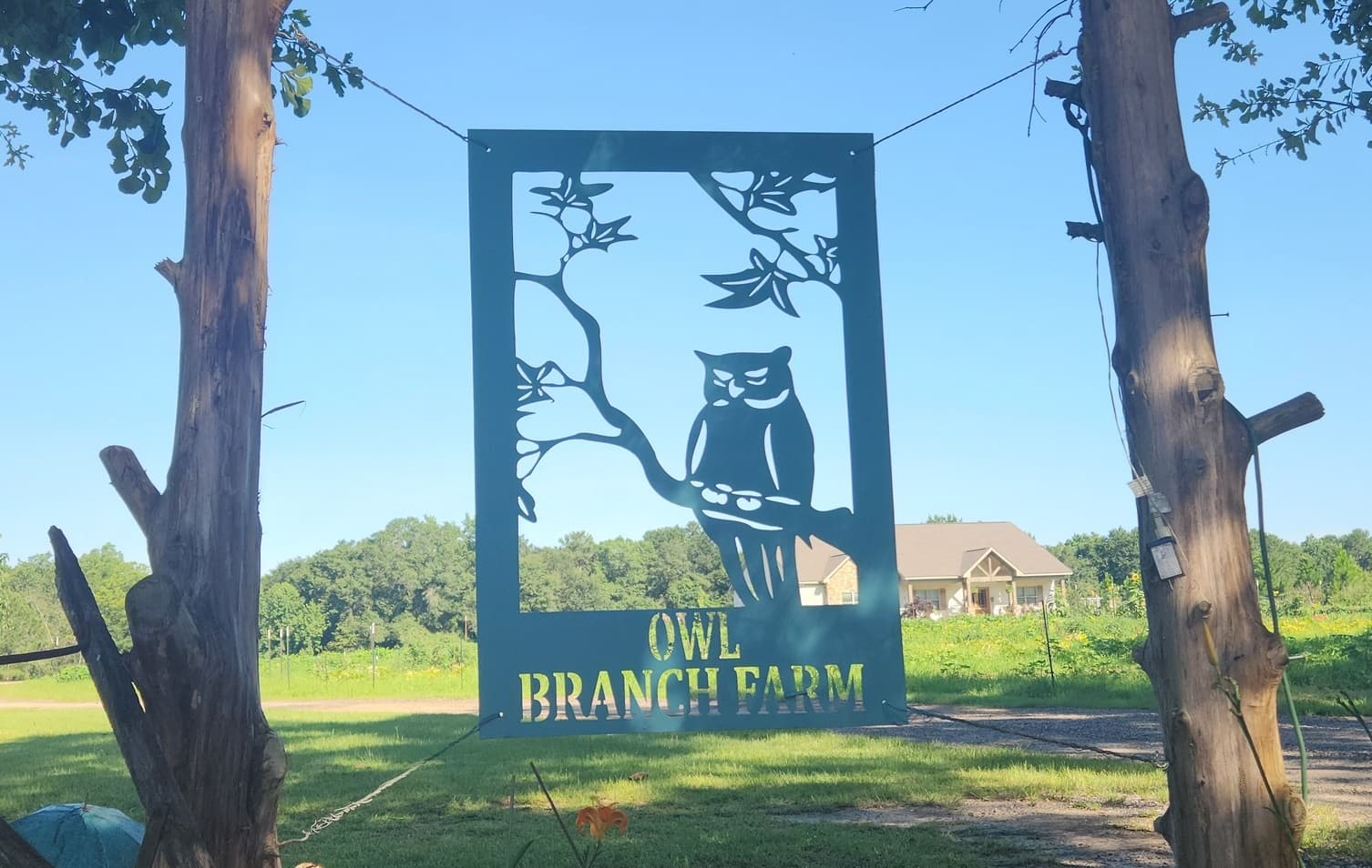 OwlBranch Farm entrance sign