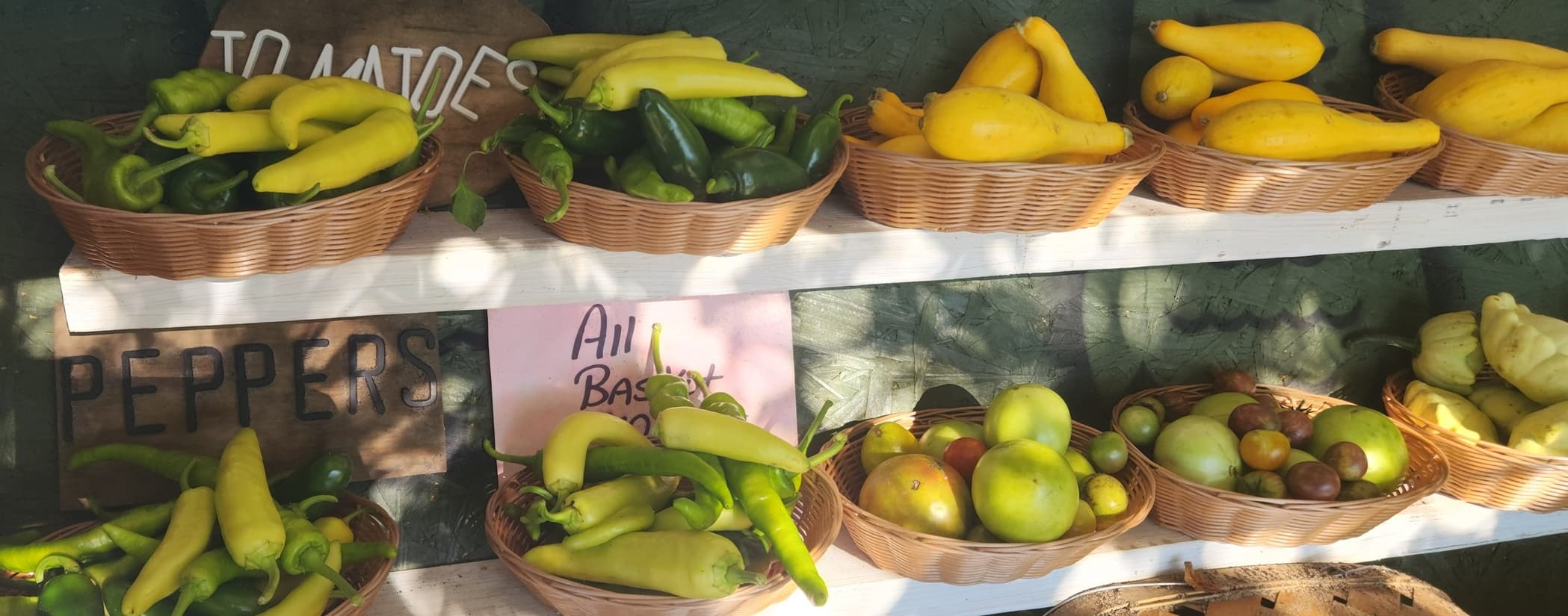 Fresh vegetables displayed at the OwlBranch Farms cart